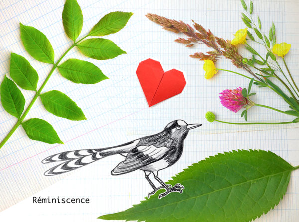 Atelier illustration Land Art