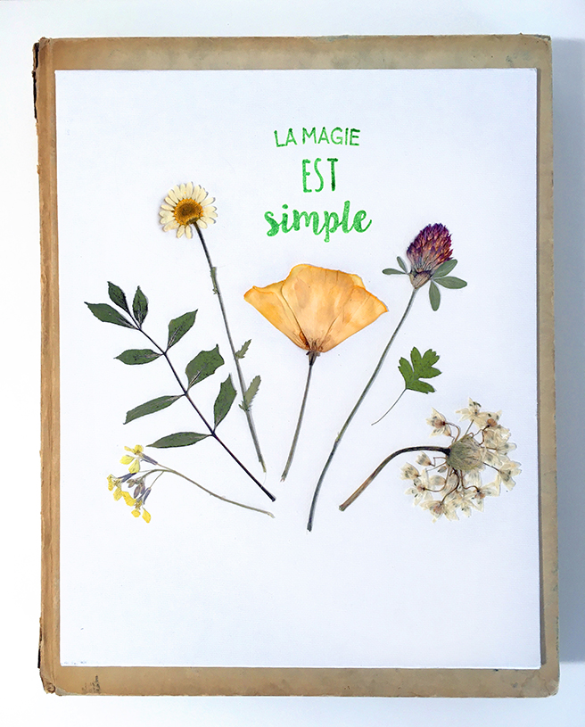 Harmonieuse nature