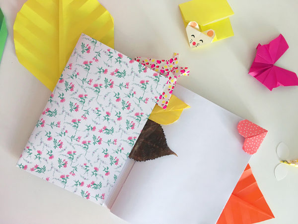 Atelier reliure / petit carnet à pochettes