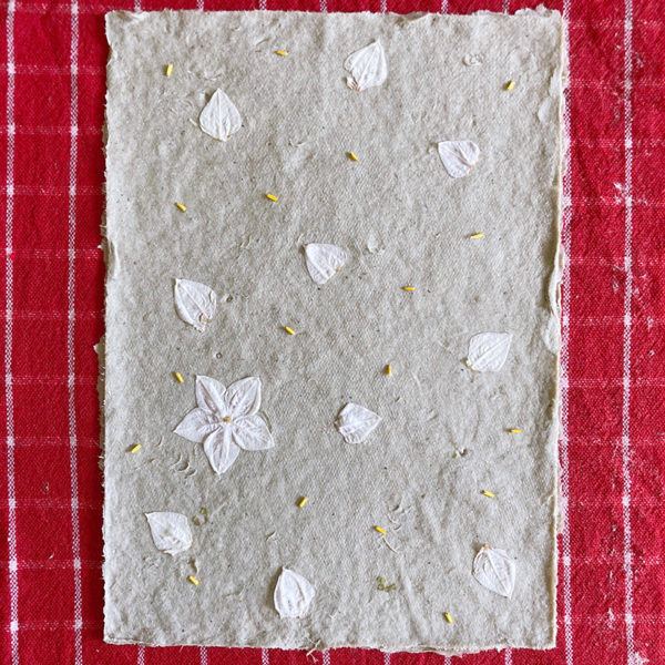 Atelier papier recyclé – Image 12