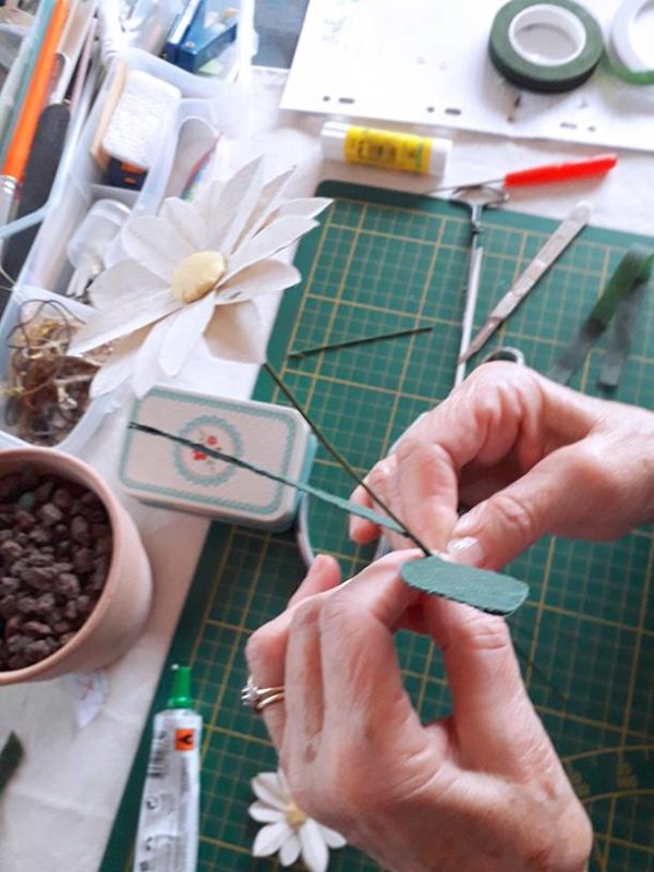 Atelier petit pot de marguerites – Image 4