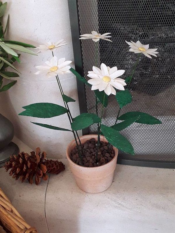 Atelier petit pot de marguerites