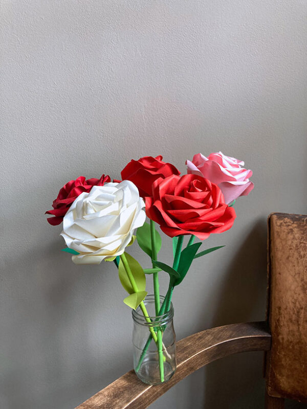 Rose – Image 2
