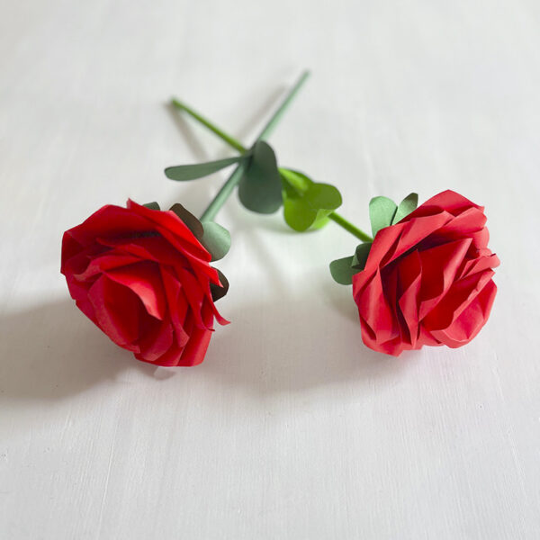 Rose – Image 4